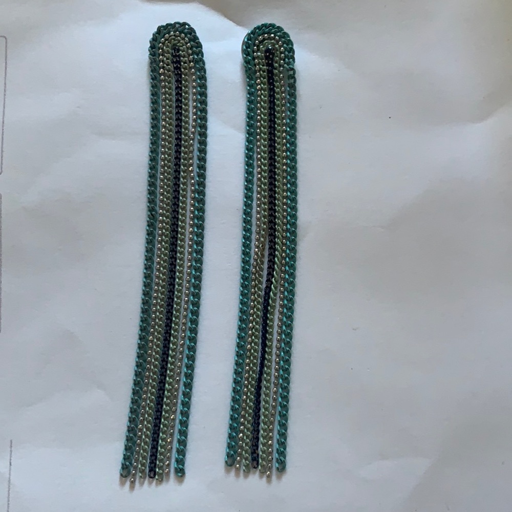 Express Earrings